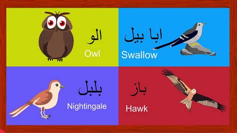 General vocabulary words about birds. Learn Birds Names for Kids in Urdu | پردو کے نام | Birds ...