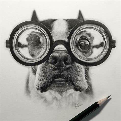 Artist Makes Realistic Pet Portraits Using Only A Pencil Here Are The