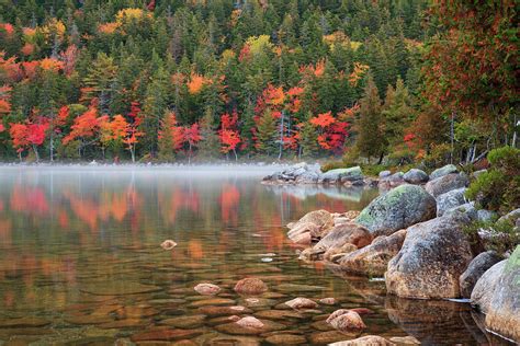 Usa Maine Acadia National Park Fall Photograph By Joanne Wells Pixels