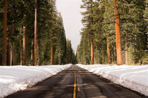 Premium Photo Two Lane Asphalt Road Leads Through Forest Wintertime