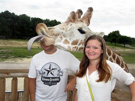 10 Of The Funniest Animal Photobombs Ever Bored Panda