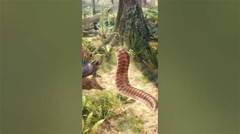 When Giant Insects Ruled Earth The Colossal Carboniferous Period