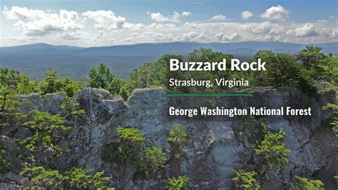 Buzzard Rock Youtube