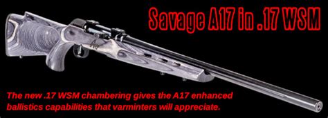 Sunday Gunday New 17 Wsm Savage A17 Rifles For Varminting Daily