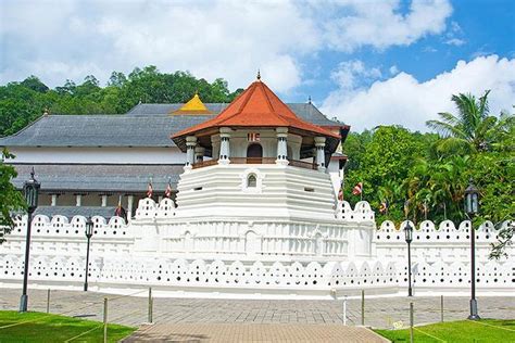 Discover Kandy Spice Garden Visit Tea Factory And Kandy City Tour All