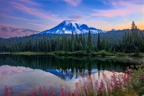 Reflection Lake Summer Flowers And Mount Rainier Photo Print Photos