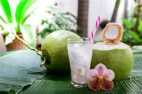 Cara membuat es oyen bandung : 4 Kreasi Resep Es Kelapa Muda Segar untuk Melepas Dahaga