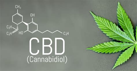 What Are The Benefits Of Eating Cbd Uk
