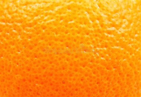 9331 Orange Peel Texture Photos Free And Royalty Free Stock Photos