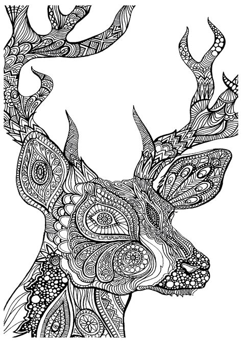 70+ animal colouring pages free download & print! Complex Coloring Pages Of Animals - Coloring Home