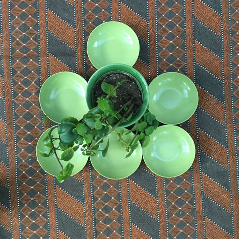 Vintage Melamine Cups And Saucer Set Of Six Avocado Olive Green