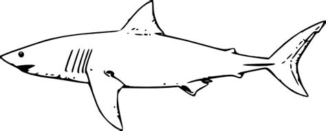 Tuhansia uusia ja laadukkaita kuvia joka päivä. White Shark clip art Free vector in Open office drawing ...