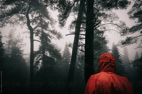 Red Hooded Coat In Black And White Forest By Stocksy Contributor Hakan Sophie Stocksy