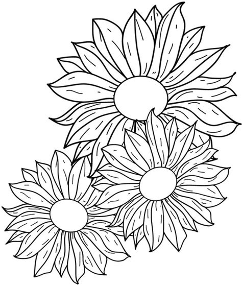 Flowers Line Drawing Free Vector In Adobe Illustrator Ai Ai Vector