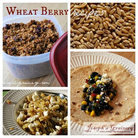 Josephs Grainery Wheat Berry Recipes