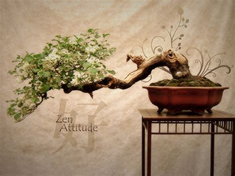 Zen Attitude Zen Wallpaper Garden Wallpaper Buddhism Wallpaper