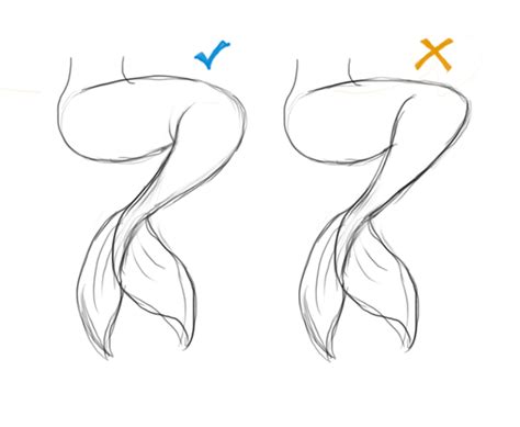 Mermaid Tail Drawing Reference