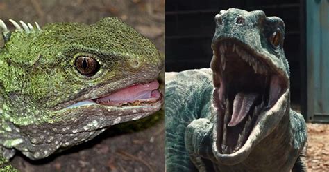 Your Jaw Will Drop When You See These 15 Dinosaurs That Are Actually