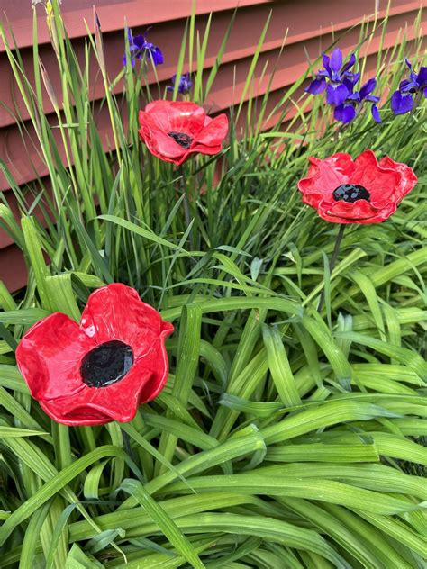 Aurora art teacher says poppy project a sign of patriotism