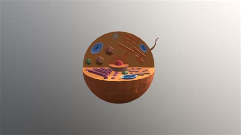 Check spelling or type a new query. Cell model for Grade 8 Project - Download Free 3D model by ...