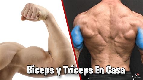 Los Mejores Ejercicios Para Bíceps Y Tríceps En Casa Vida Fitness