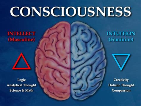 Consciousness Yin Yang Brain Hemispheres Intellect Intuition Masculine