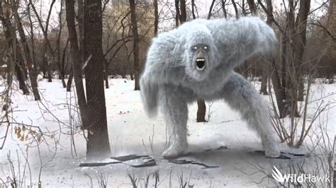 Yeti Is It Real Or Just A Legend From The Folk Tales Wildhawk