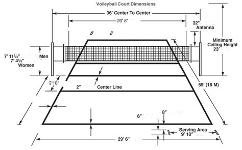 Retractable table tennis net, 2 paddles. The court dimensions - Volei mania