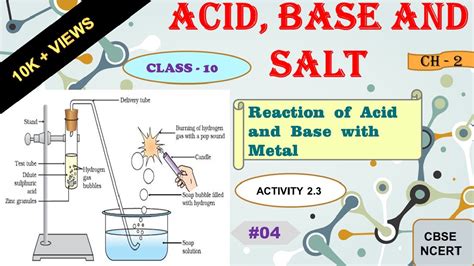 Reaction Of Acid And Base With Metal Activity Acid Base And Salt