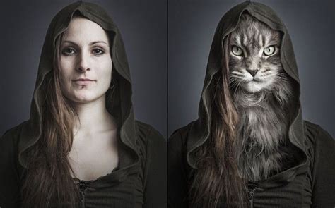 Human Cat Hybrids Human Cat Hybrids