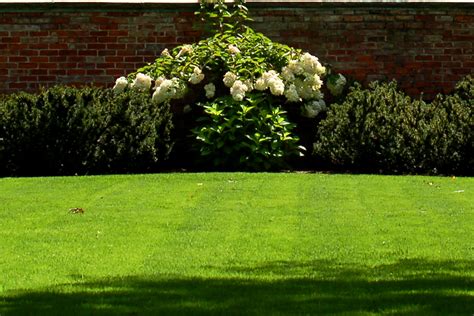 9 Things to Know About Starting a Garden From Scratch