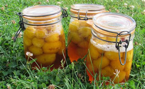 Conserve de prunes au sirop maison