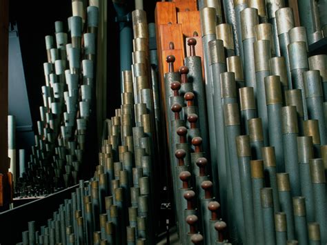 Organ Pipes Sydney Town Hall