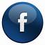 Facebook Icon  Glossy Social Iconset Media Icons