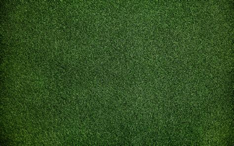 Download Wallpapers Grass Texture 4k Green Grass Green