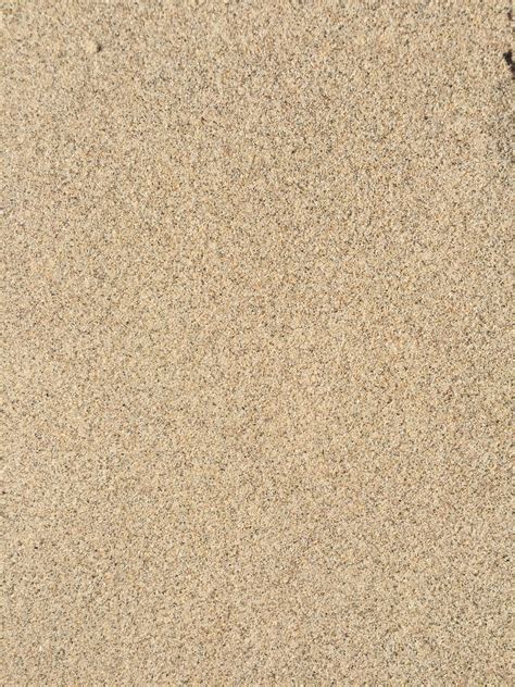 Light Brown Wet Sand Beach Texture Free Textures