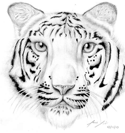 Try out all sorts of colors and even different types of brushes. Coloring Pictures Of White Tigers - High Quality Coloring ...