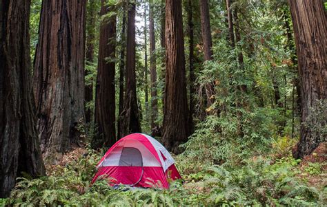 Redwood National Park Features Prime Social Distance Camping Save The