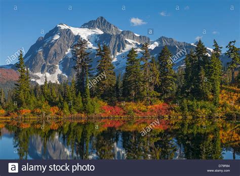 Mount Baker Snoqualmie National Forest Washington Autumn Colors Stock