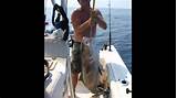 Pictures of Fishing License Charleston Sc
