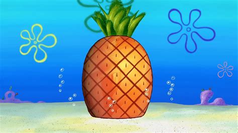 why does spongebob live in a pineapple
