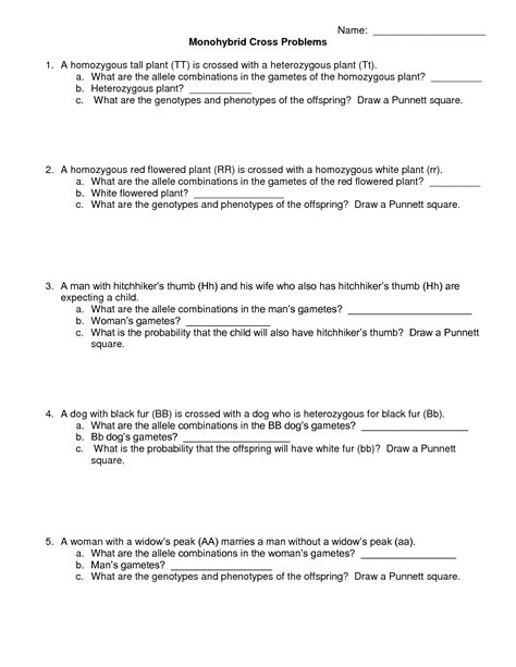 Dihybrid crosses worksheet answer key biology a dihybrid cross determines the genotypic and phenotypic combinations of involving dihybrid crosses click on . worksheet. Dihybrid Cross Worksheet With Answers. Grass ...