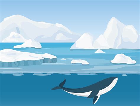 Geography Arctic Ocean Level 1 Activity For Kids Uk