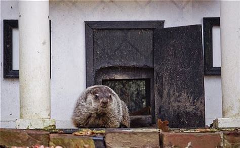 Groundhog Day Tradition To Carry On With Gen Beauregard Lee Chattanooga Times Free Press