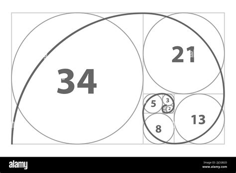 Fibonacci Sequence Of Circles Golden Ratio Geometric Concept Vector