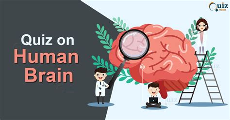 Science Quiz On Human Brain Quiz Orbit