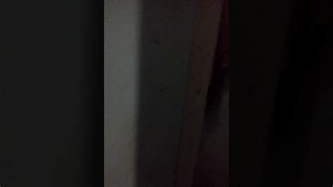 8:20:05 lambe ngapak ngintip tante tante mandi bikin basah. Ngintip yang di kamar mandi,, - YouTube