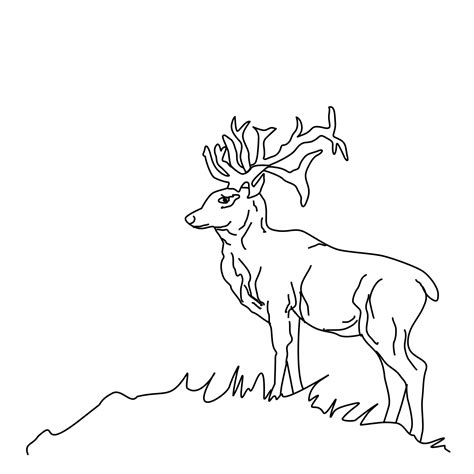 Malvorlagen tiere ausmalbilder zum ausdrucken mytoys blog. 20 Der Besten Ideen Für Waldtiere Ausmalbilder - Beste ...