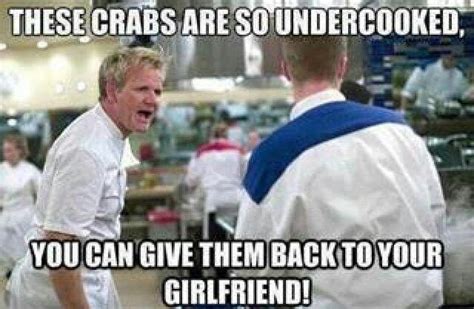 1 other nickelodeon shows 1.1 the adventures of jimmy neutron, boy genius 1.2 avatar: 36 best Gordon Ramsay Memes images on Pinterest | Ha ha, Funny things and Funny stuff