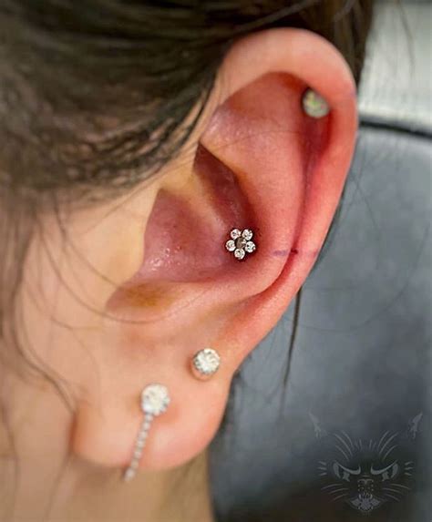 Look At That Perfect Conch Piercing Placement By Our Piercer Amanda Amandazombi Conch